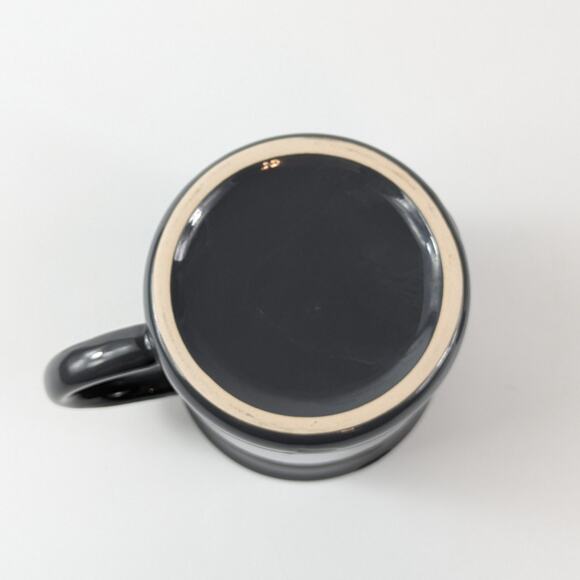 Goguardian Enamel Coffee Mug El Segundo California Unleash Curiousity Raccoon - Picture 5 of 14